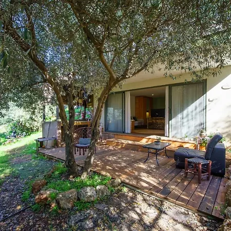 Roof Of The Galilee Villa Amirim Exterior photo