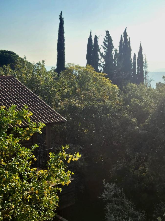 Roof Of The Galilee *