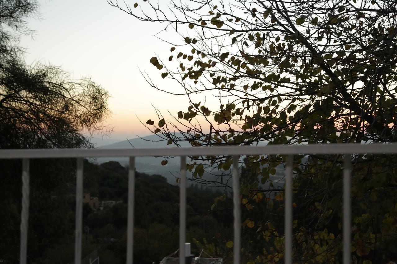 Roof Of The Galilee *