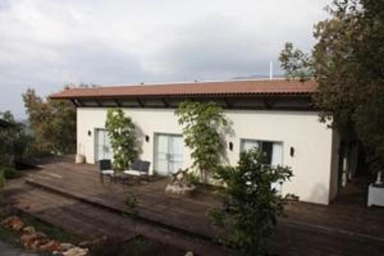 Roof Of The Galilee *